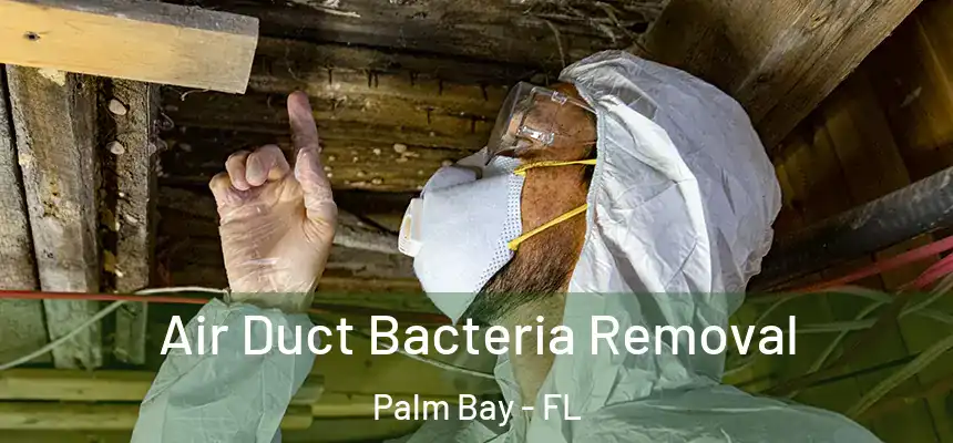  Air Duct Bacteria Removal Palm Bay - FL