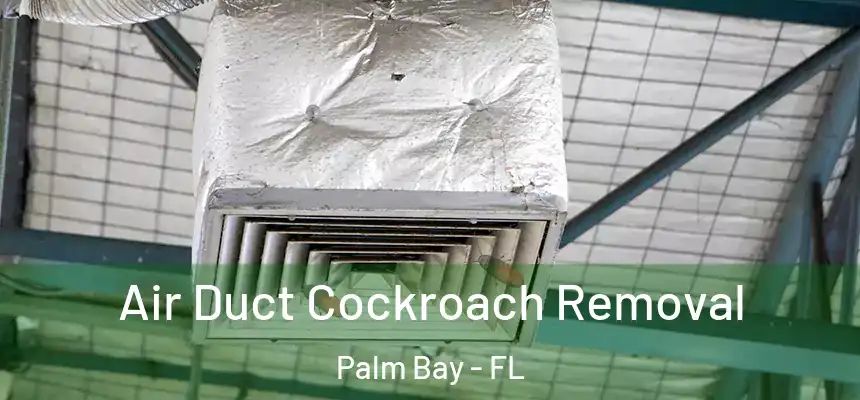  Air Duct Cockroach Removal Palm Bay - FL