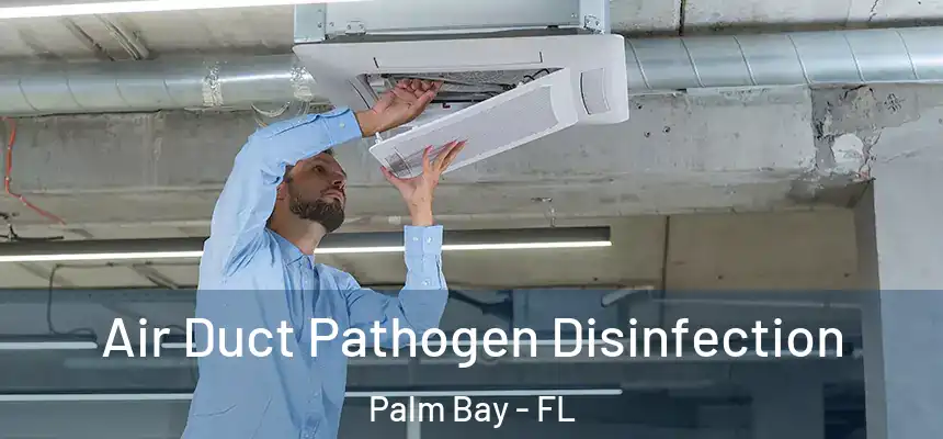 Air Duct Pathogen Disinfection Palm Bay - FL