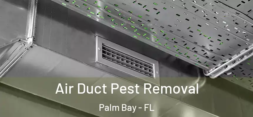 Air Duct Pest Removal Palm Bay - FL