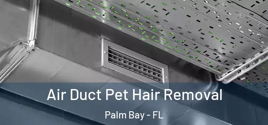  Air Duct Pet Hair Removal Palm Bay - FL