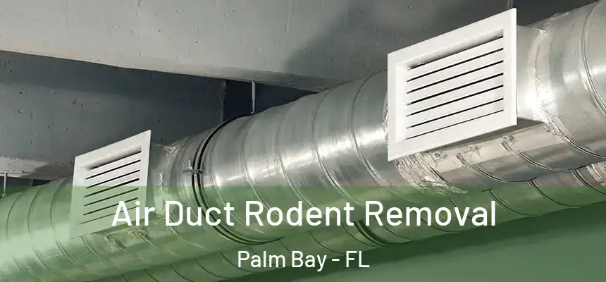 Air Duct Rodent Removal Palm Bay - FL