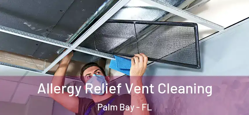 Allergy Relief Vent Cleaning Palm Bay - FL