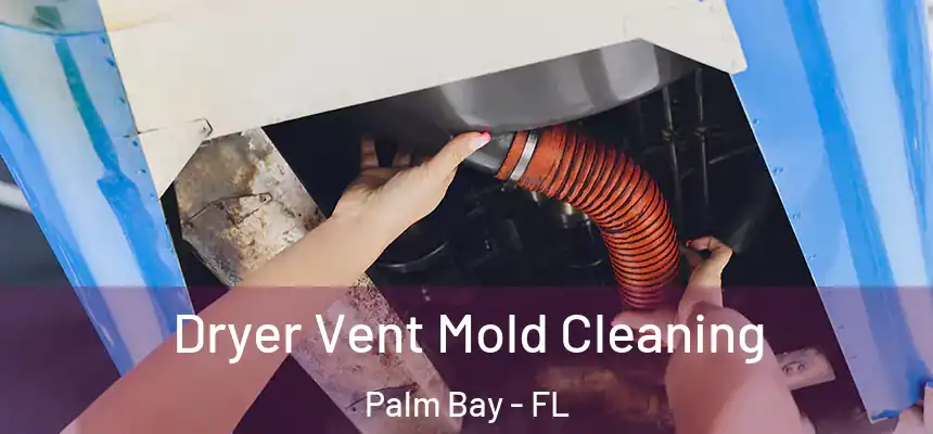 Dryer Vent Mold Cleaning Palm Bay - FL
