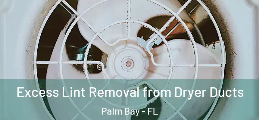 Excess Lint Removal from Dryer Ducts Palm Bay - FL