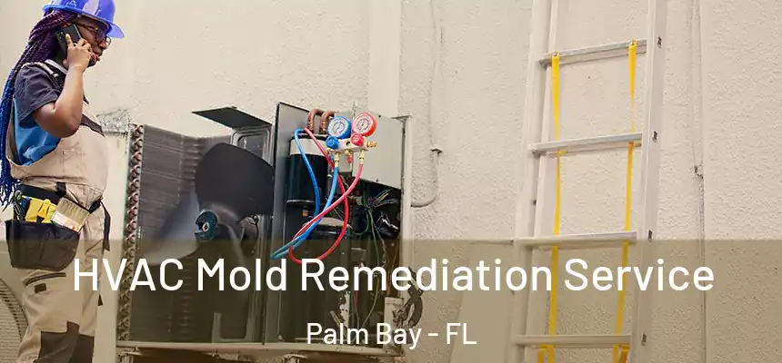 HVAC Mold Remediation Service Palm Bay - FL