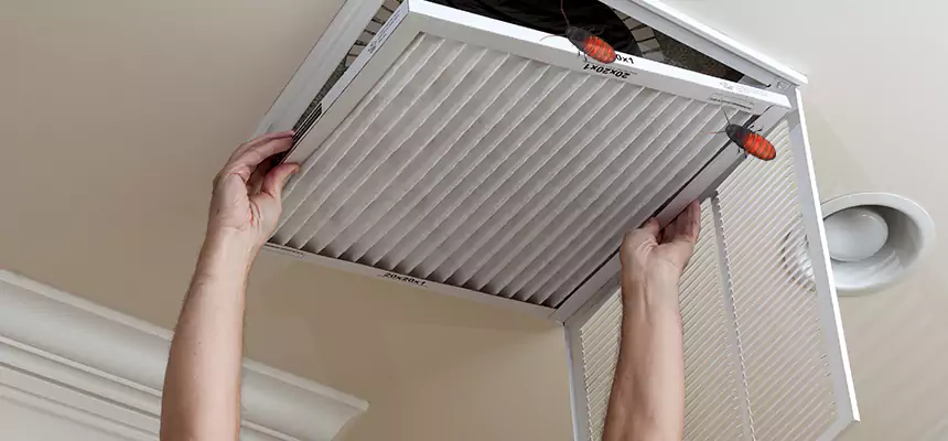 Our Insect Removal from Air Ducts Services in Palm Bay, FL