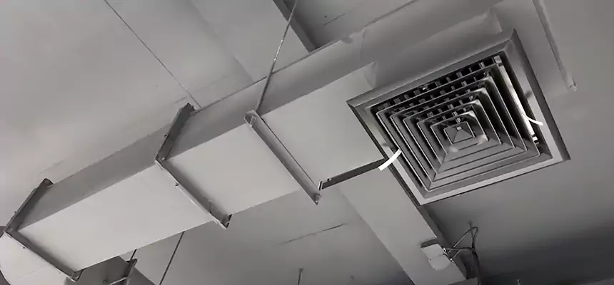 Our Pest Removal From Ducts Services in Palm Bay, FL