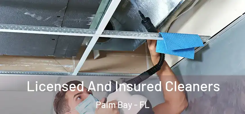  Licensed And Insured Cleaners Palm Bay - FL