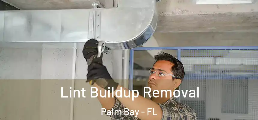Lint Buildup Removal Palm Bay - FL