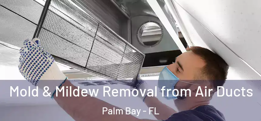 Mold & Mildew Removal from Air Ducts Palm Bay - FL