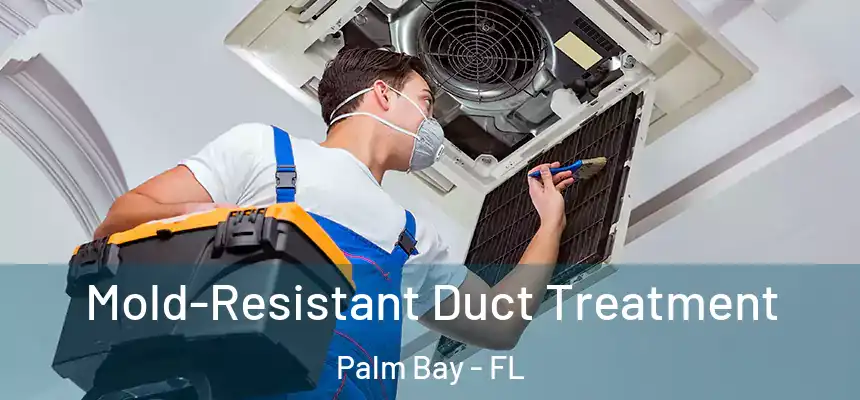 Mold-Resistant Duct Treatment Palm Bay - FL
