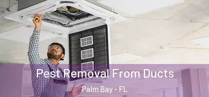  Pest Removal From Ducts Palm Bay - FL