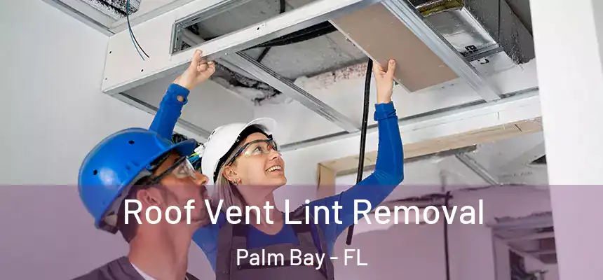 Roof Vent Lint Removal Palm Bay - FL