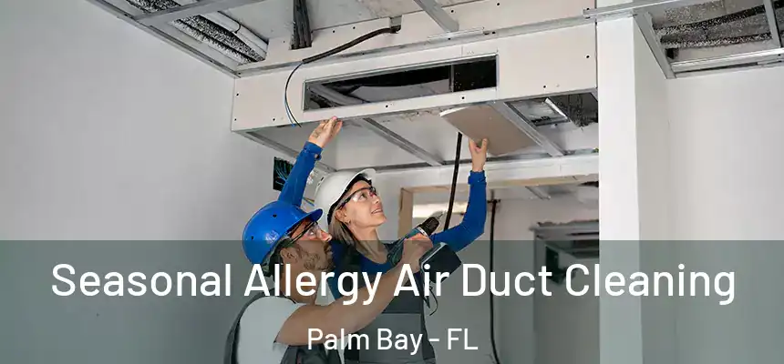  Seasonal Allergy Air Duct Cleaning Palm Bay - FL