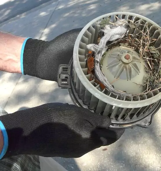 About Air Duct Mice Removal in Palm Bay, FL