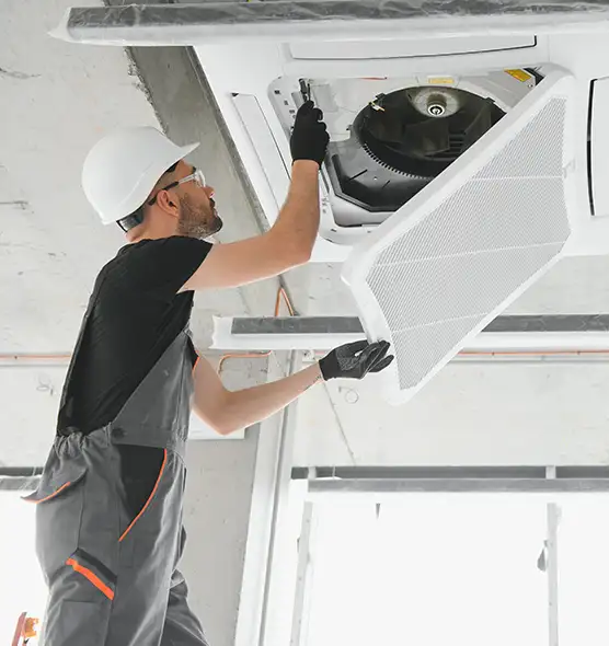 About Air Duct Rodent Removal in Palm Bay, FL