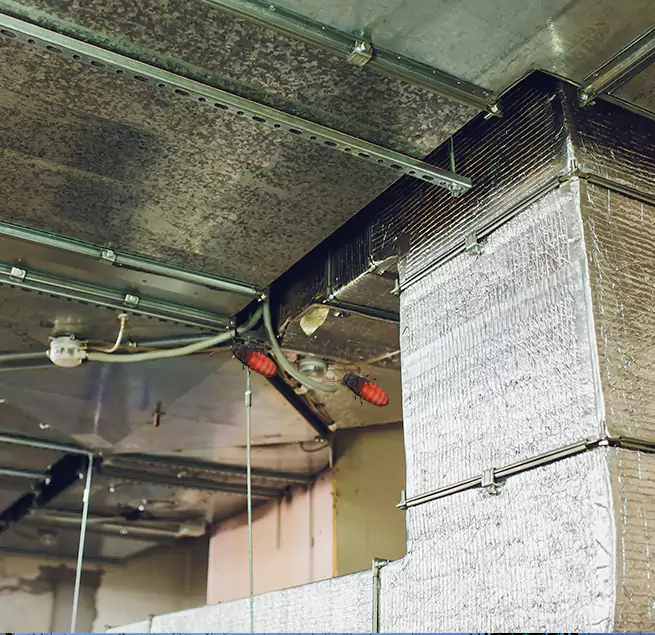 Why Homeowners & Businesses Trust Us in Palm Bay, FL?