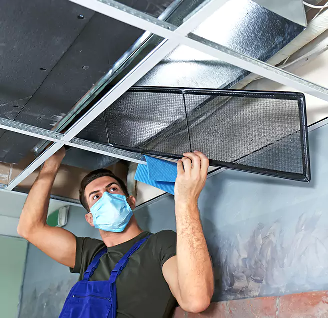 Why Homeowners Businesses Trust Us in Palm Bay, FL?